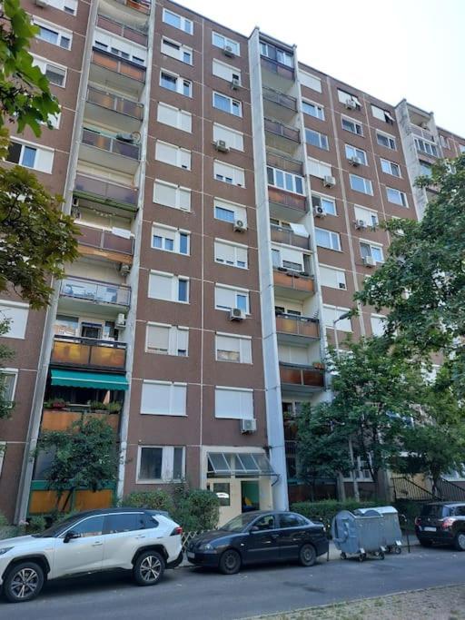 Erzsebet Apartman, Free Parking Budapest Exteriör bild