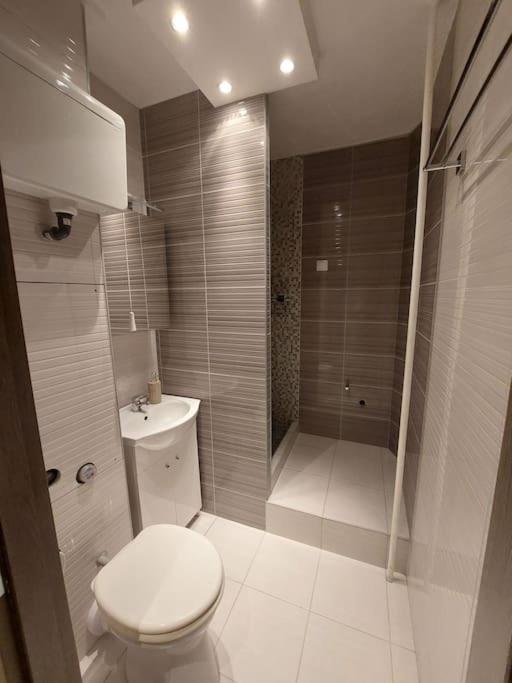Erzsebet Apartman, Free Parking Budapest Exteriör bild