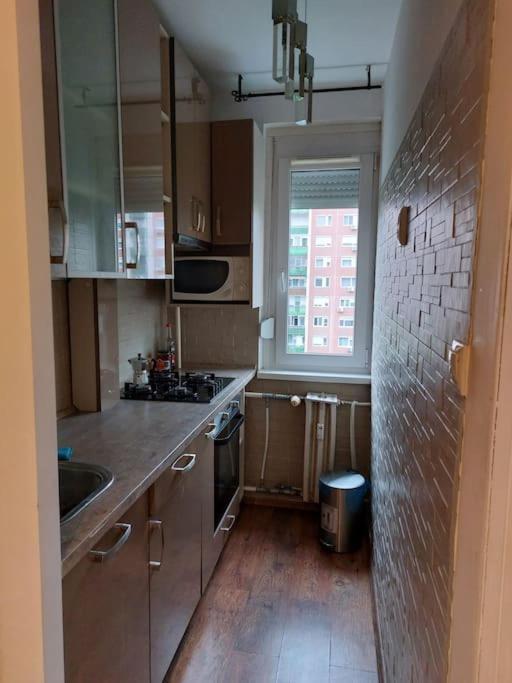 Erzsebet Apartman, Free Parking Budapest Exteriör bild